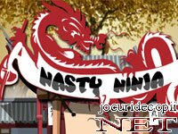 Batalii cu ninja in arena
