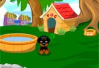 Catelul meu dragut Catelul meu dragut