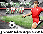 Cupa mondiala 2010