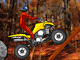 quad racers quad racers