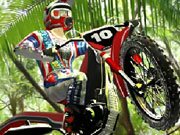 Bike mania reborn Bike mania reborn