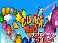 Bile Zuma